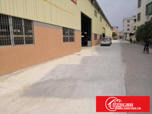 石排成熟工业区一楼1200平方米出租