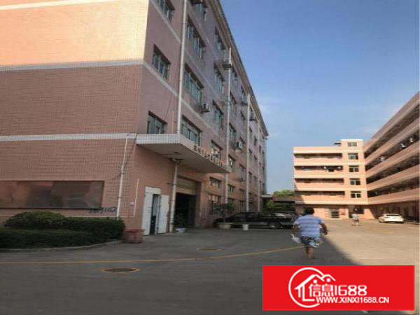 龙岗龙西一楼标准厂房1000平方米出租，带装修