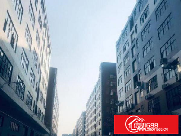 全新厂房，带消防喷淋、全新客货梯