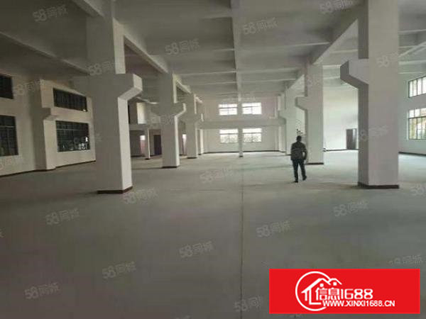 塘厦全新原房东一到三层3900平方厂房出租，价格好谈