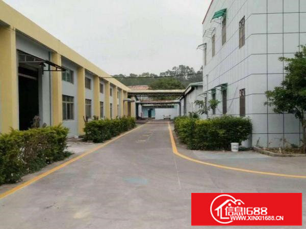 龙岗坪地单一层砖墙钢构3500平方，滴水7米带红本