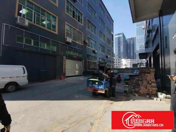 龙岗坂田天安云谷附近新出1楼950平可做汽修厂房出租。