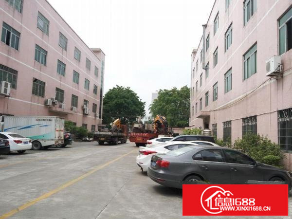 龙岗龙东独门独院4600平米出租