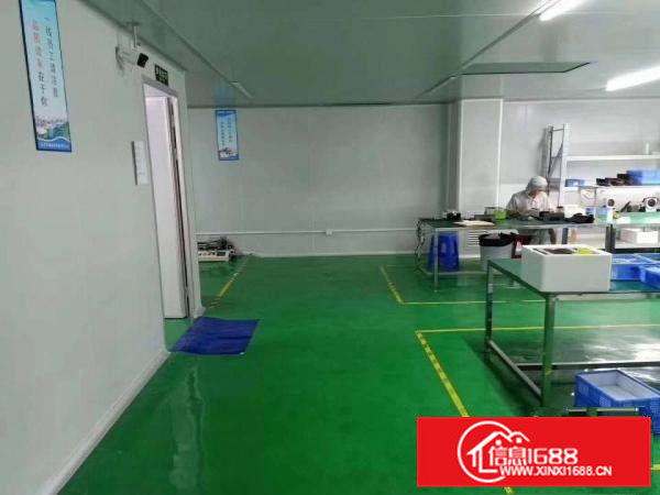 黄江镇北岸村工业园三楼带现成千级无尘车间1500平米火爆招租