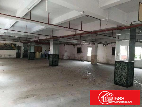 虎门南栅新出一独门独院厂房5800平