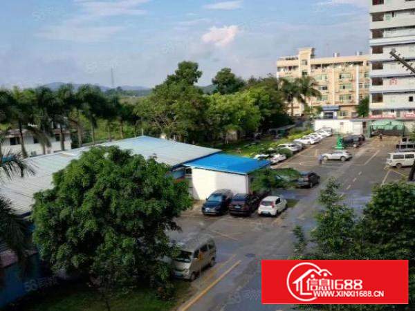 非中介，石岩料坑卓林工业园自建厂房带红本出租