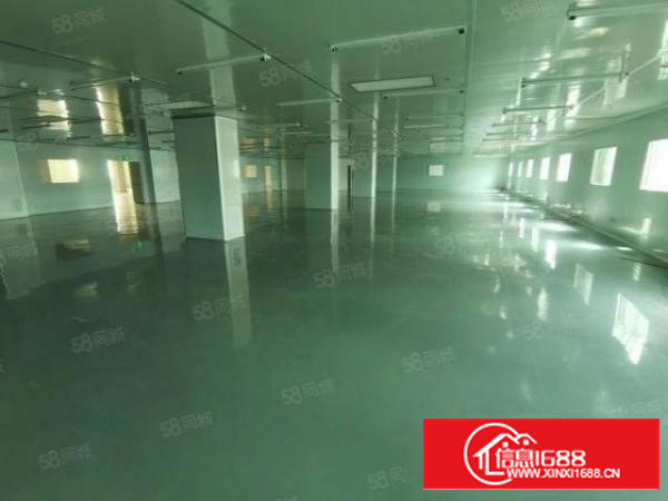 凤岗油甘埔大窝工业区无尘车间2000平方100起分厂房出租