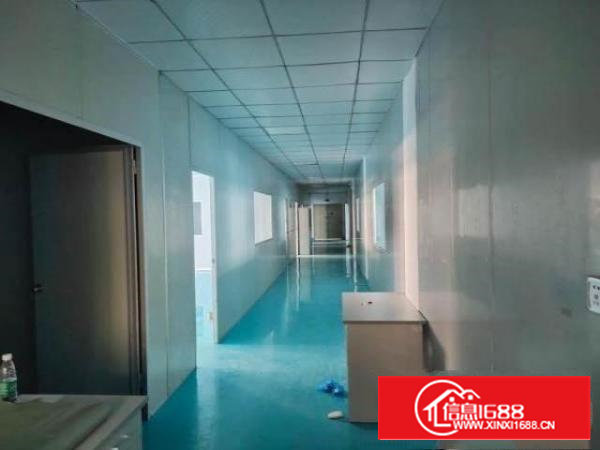 新出靓盘无尘车间精装修拎包可入住