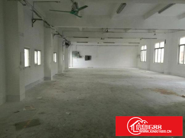 坪山碧岭金碧路597号厂房2800平米厂房招租