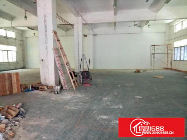 龙华大浪一楼680平标准厂房出租