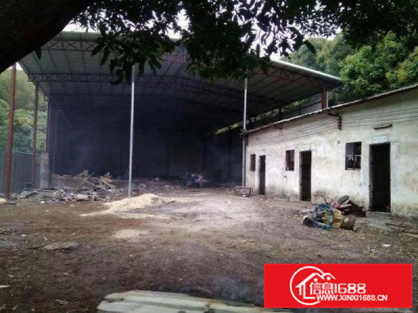 桥头屋厦独院单一层厂房1100平米原房东直租