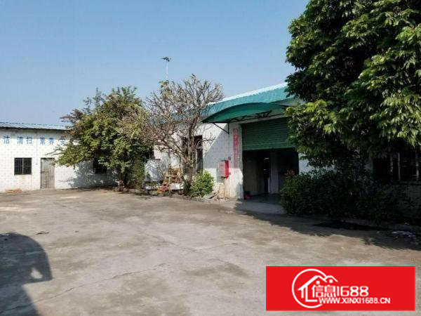 常平上坑独院厂房出租单一层500至900平方配备齐全