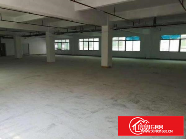 万江简沙洲新出独院标准楼上厂房1100平方出租