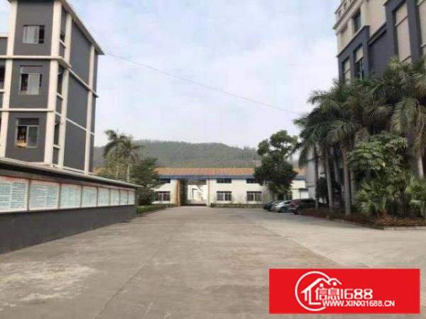 珠三角的厂房，价格只要10块