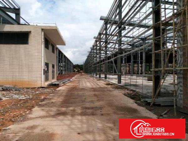 原房东新建独院厂房出租15元/方