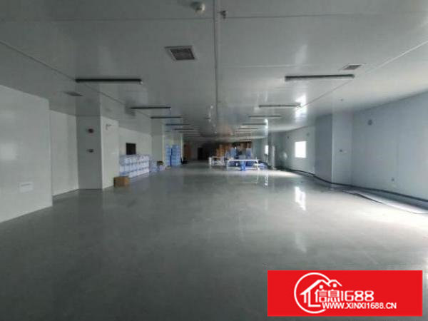 龙岗爱联地铁口无尘车间出租，带装修，价格优惠
