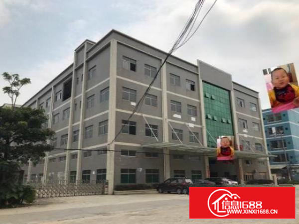 石排镇独院厂房出租便宜