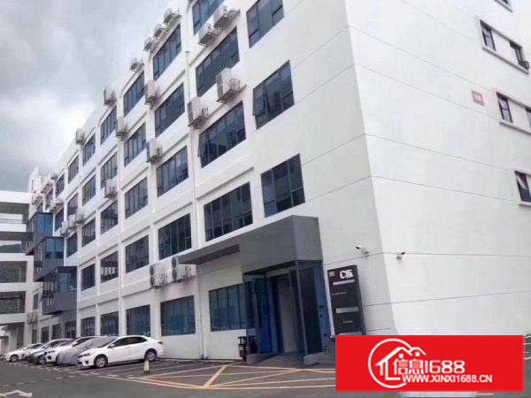 新出楼上900平方厂房出租带全新装修，空地大