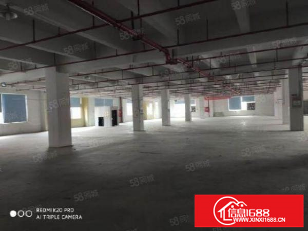 顺德区北滘镇北滘港2090方厂房出租超大空地三部货梯新地坪漆