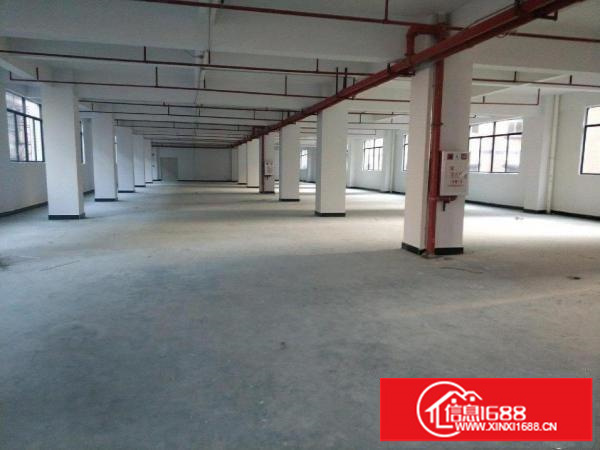 龙岗区坪地街道办附近标准厂房一楼500平出租！
