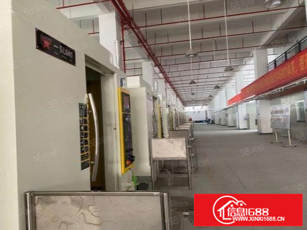 清溪镇新出标准一楼7米高带现成消防喷淋现成办公室装修水电齐全