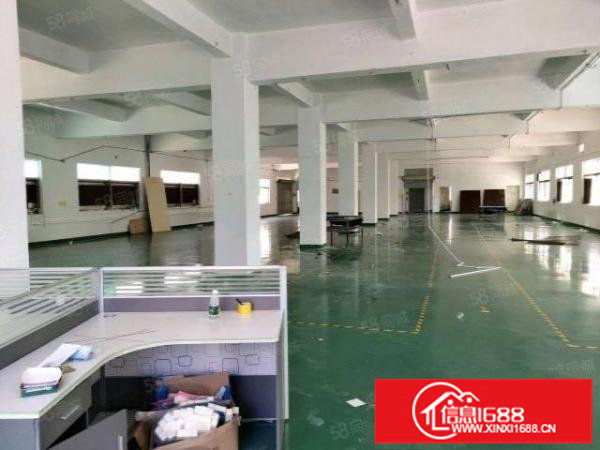 小面积福音，樟坑径上围新出一楼楼上1600平标准厂房