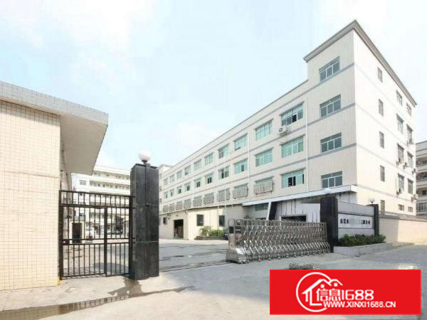 出租虎门镇白沙三村福新路3号1楼