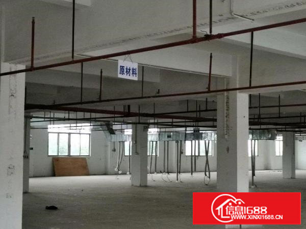 谢岗单层钢构优惠出租，