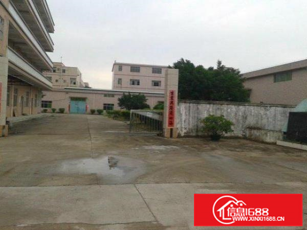 仲恺多个独门独院2400到6000平方钢构厂房