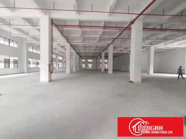 7米高凤岗金凤凰一楼厂房出租3200平厂房方正可以分租