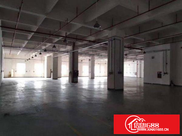 横岗安良一楼豪华装修厂房2900平出租，无需转让费