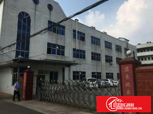 出租横沥独院厂房