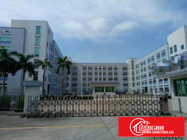 万江环城路附近临时仓库出租标准物流仓库出租大小可分租