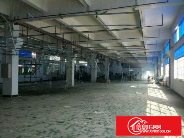 东莞石排铺心独院一楼2000平方出租