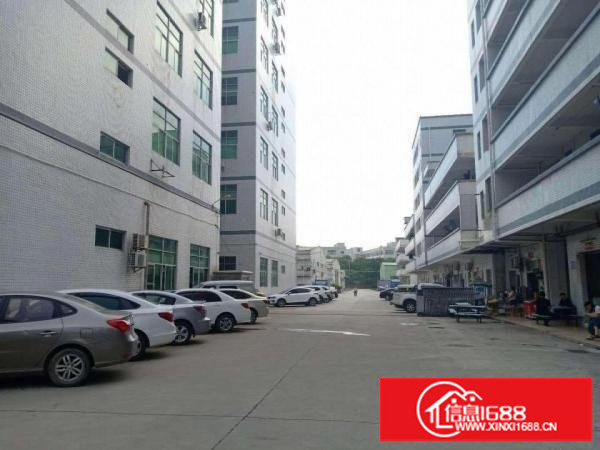 光明公明（上村楼上750平500平400平带装修.