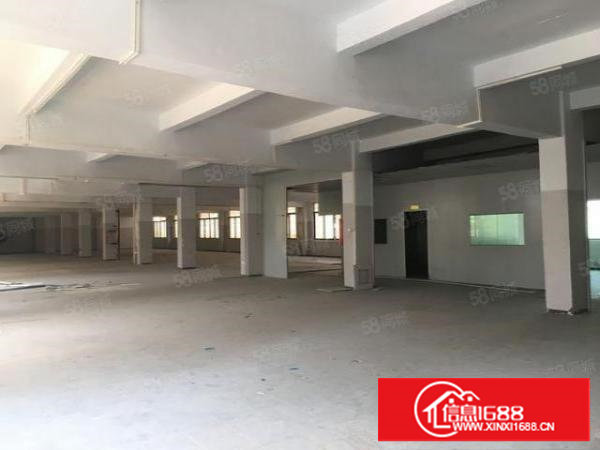 原房东厂房分租一楼1000平方，成金科技园