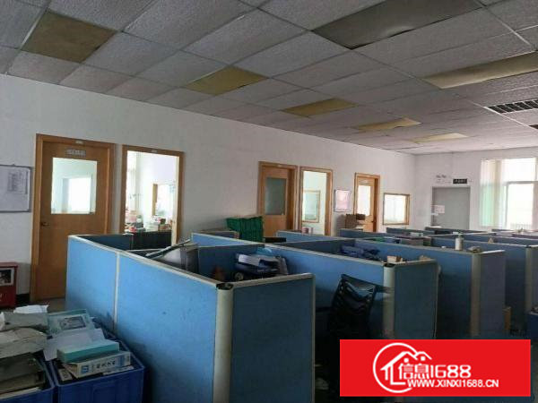 凤岗好招工厂房招租11500平方主干道上近深圳可分租