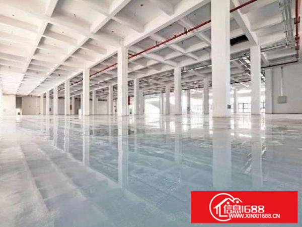 靓厂原房东独院厂房出租两层