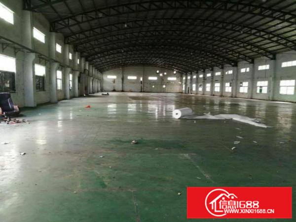 出租仲恺潼湖新出独门独院钢构中间无柱子适合各个行业可办环评