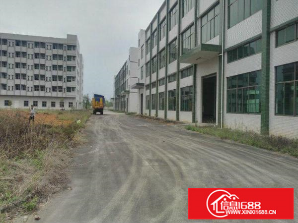 仲恺新出76000平米原房东红本独院厂房招租