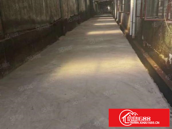 红本厂房！市政排污！滴水10米带航车（独门独院）