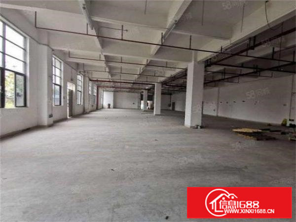 新出原房东一楼600方，实际面积，采光好可开门，空地大形象好