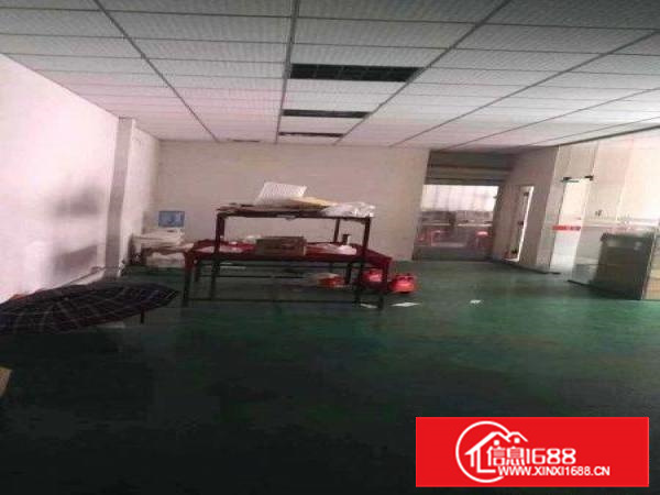 沙头新出320平带装修厂房对外招租！