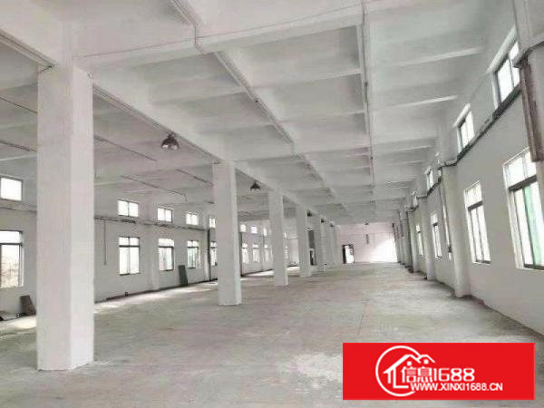 塘厦振兴围原房东实际面积500平方出租，价格便宜