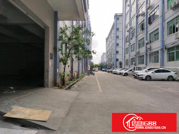 上雪科技园一楼新出独门独院厂房