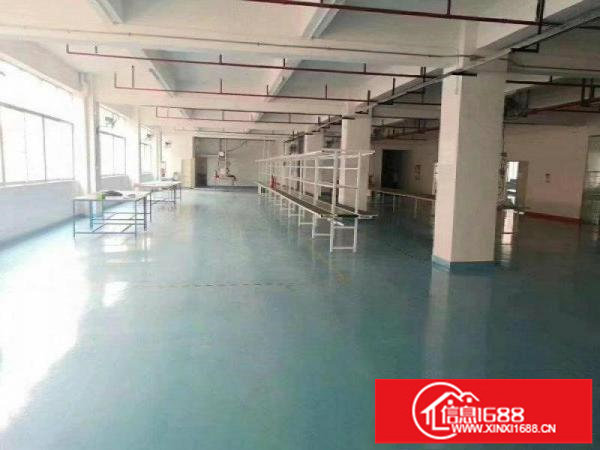 横岗地铁口实用率九成厂房楼上1300平方出租