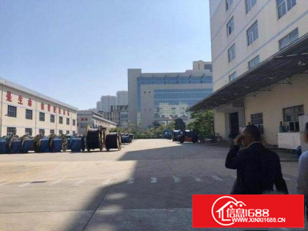 坪山新出一楼1100平方标准喷淋厂房高5.5米出租