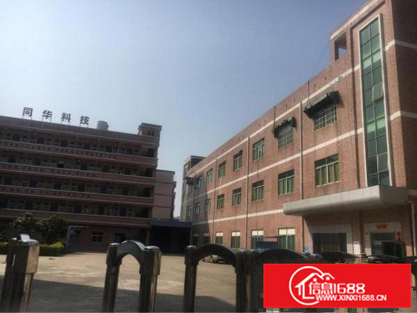 清溪镇新出标准独院厂房招租