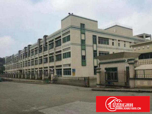 常平袁山贝新标准厂房一楼1200平米原房东有消防