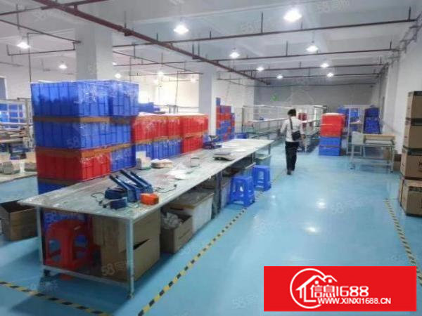 福永新出带装修厂房500平780平1200平